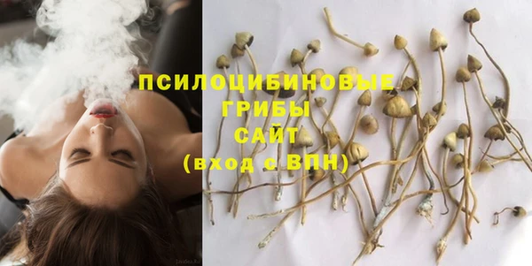 гашик Абаза