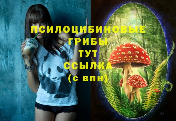 не бодяженный Абдулино