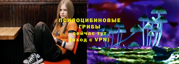 гашик Абаза